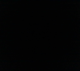 Adnan